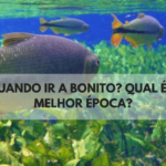 Quando ir a Bonito? Qual é a Melhor Época?