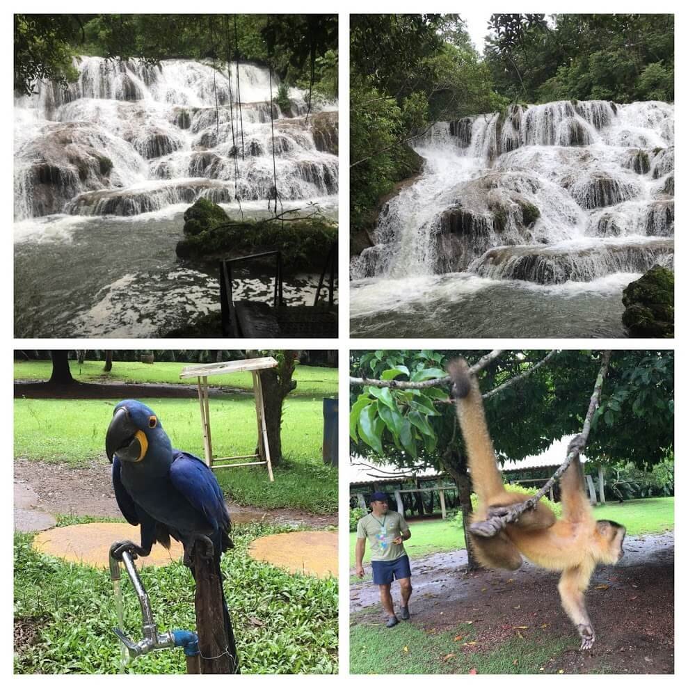 roteiro em bonito rio do peixe